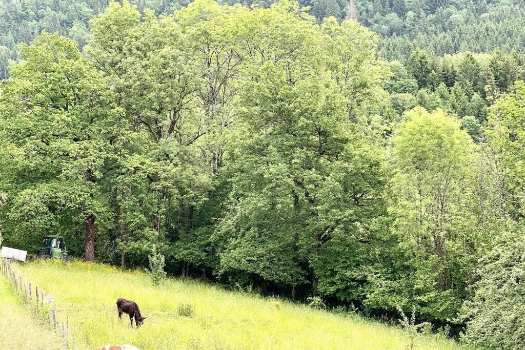 Sobnb-Fillinges- Appartement Dans Maison Debut Vallee Verte Kültér fotó